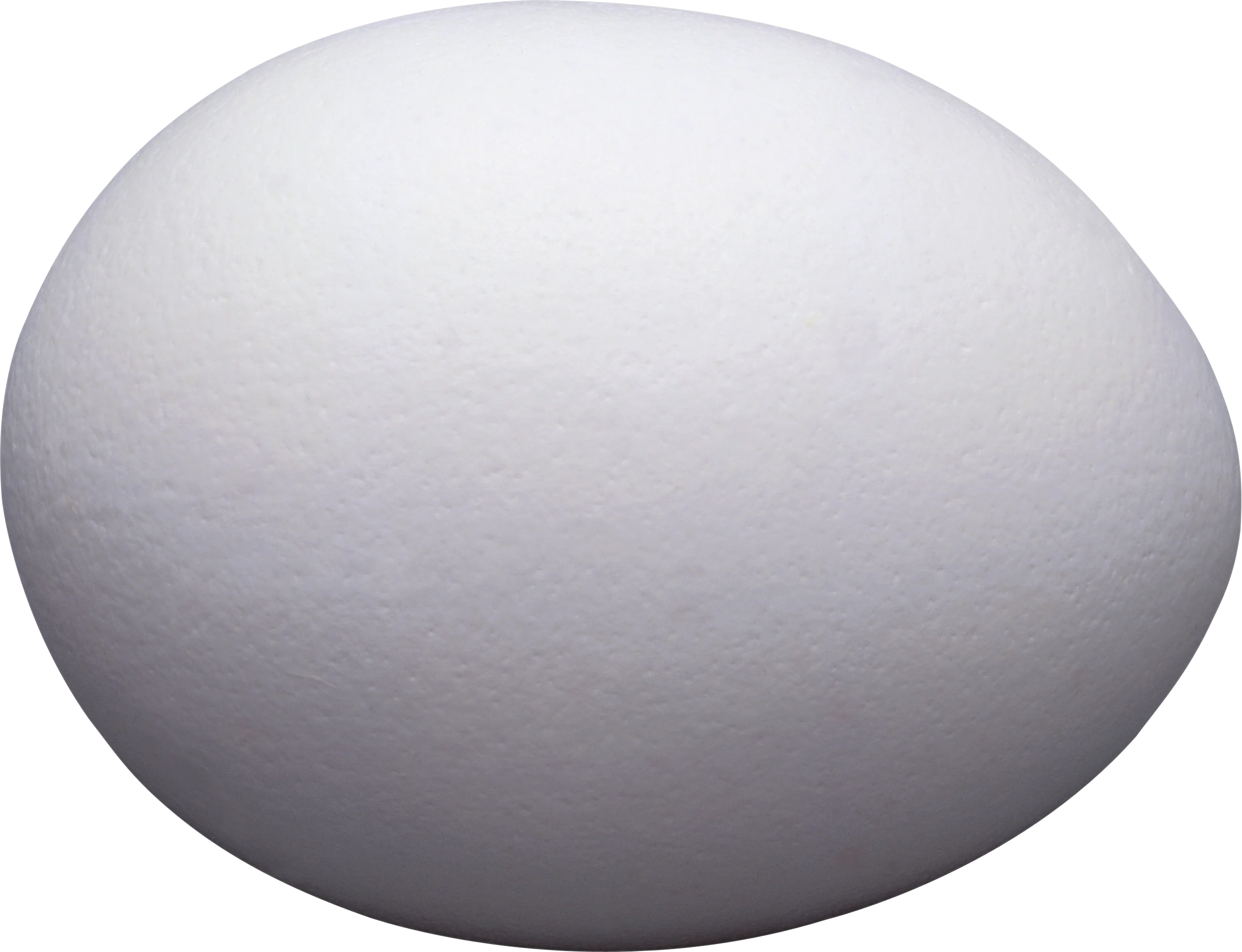 Minimalist Smooth White Egg Clipart with Soft Gradient Shading