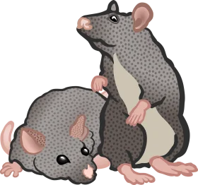 Adorable Gray Rodent Companions Whimsical Mice Clipart Illustration