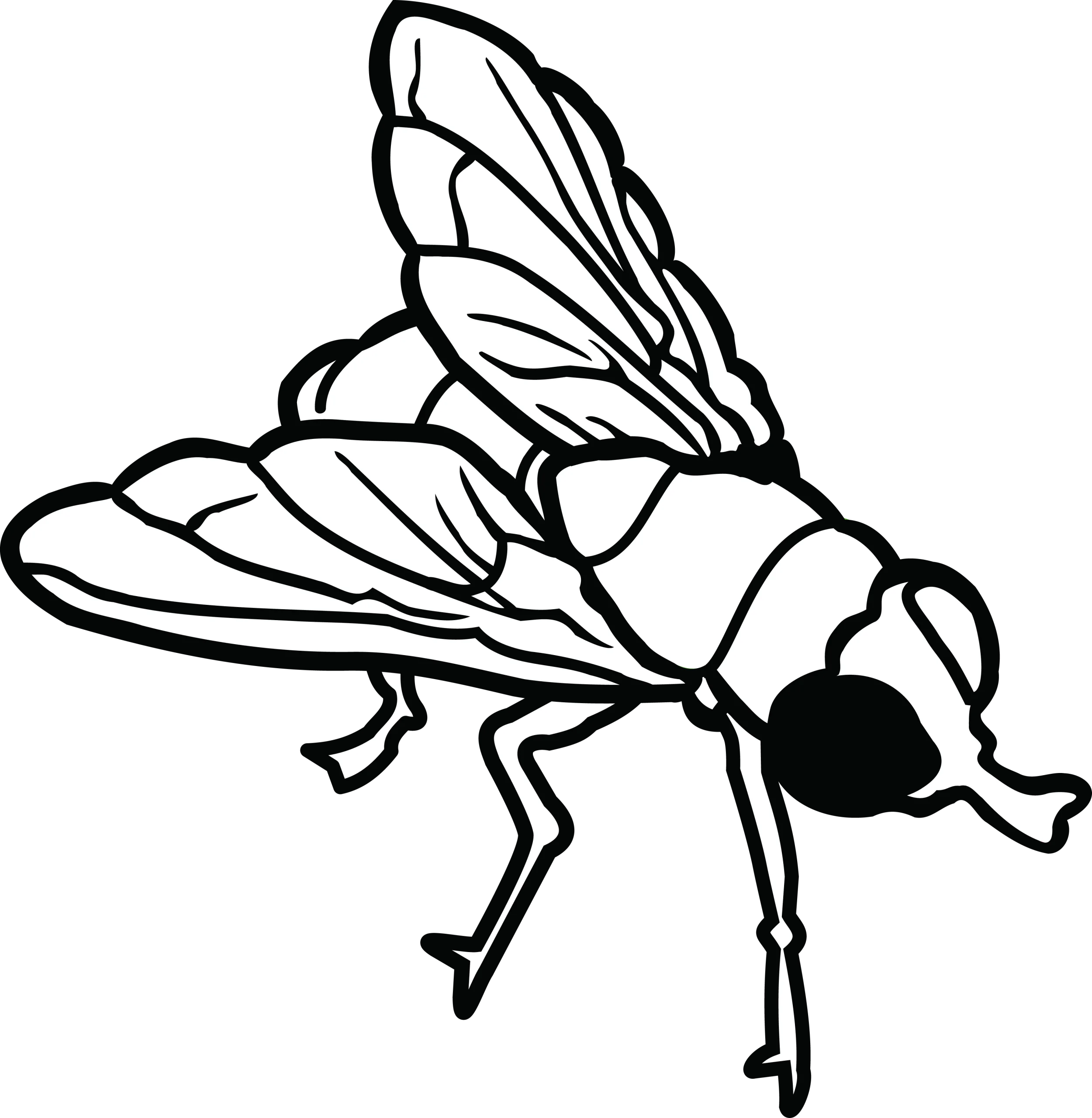 Black and White Detailed Fly Clipart Illustration with Intricate Wing Patterns