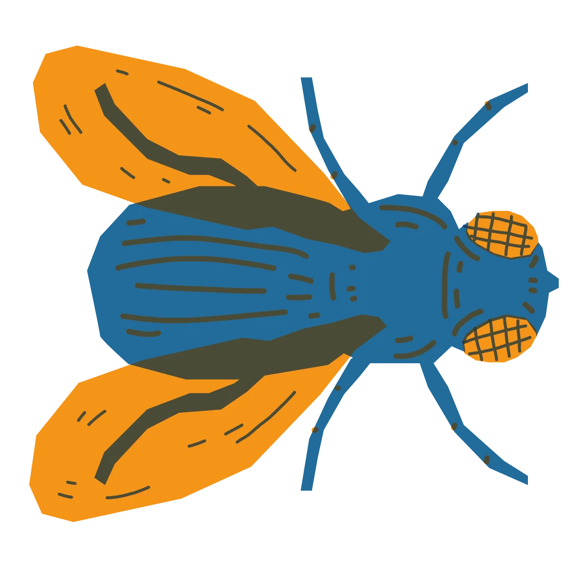 Bold Blue and Orange Stylized Fly Clipart Illustration with Geometric Design