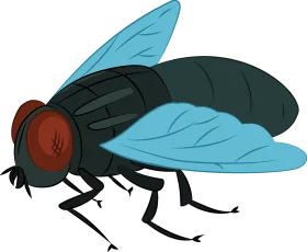 Detailed Cartoon Blue and Black Fly Clipart Illustration with Realistic Anatomy