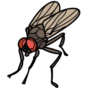 Detailed Cartoon House Fly Clipart Illustration with Distinctive Red Compound Eyes
