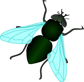 Detailed Teal and Green Fly Clipart Illustration with Translucent Wings