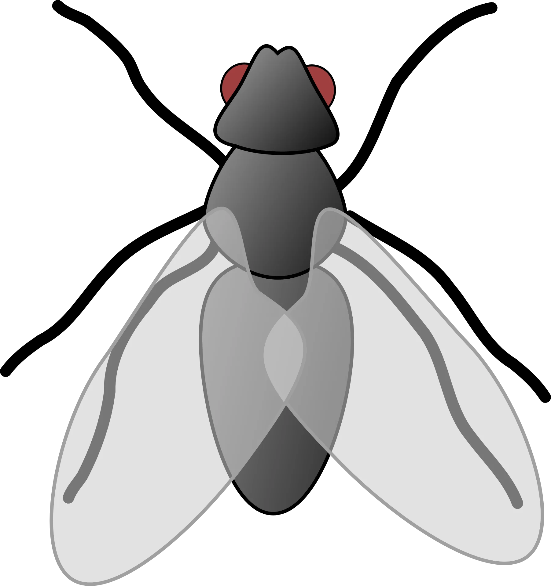 Minimalist Grayscale Fly Clipart with Translucent Detailed Wing Design