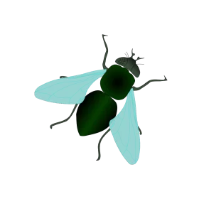 Minimalist Green Fly Clipart with Translucent Blue-Green Wings