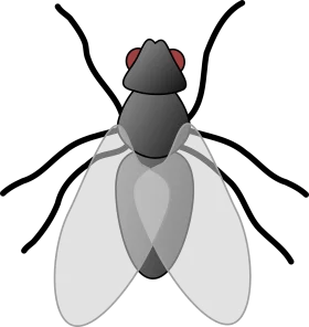Monochromatic Stylized Fly Clipart with Detailed Insect Anatomy Design