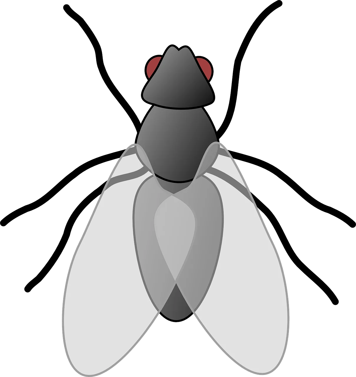 Monochromatic Stylized Fly Clipart with Detailed Insect Anatomy Design