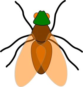Stylized Geometric Fly Clipart with Simplified Color Blocking and Angular Design