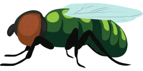 Stylized Green and Brown Insect Clipart with Geometric Design Elements