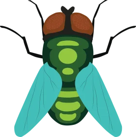 Stylized Green and Turquoise Fly Clipart with Geometric Design Elements