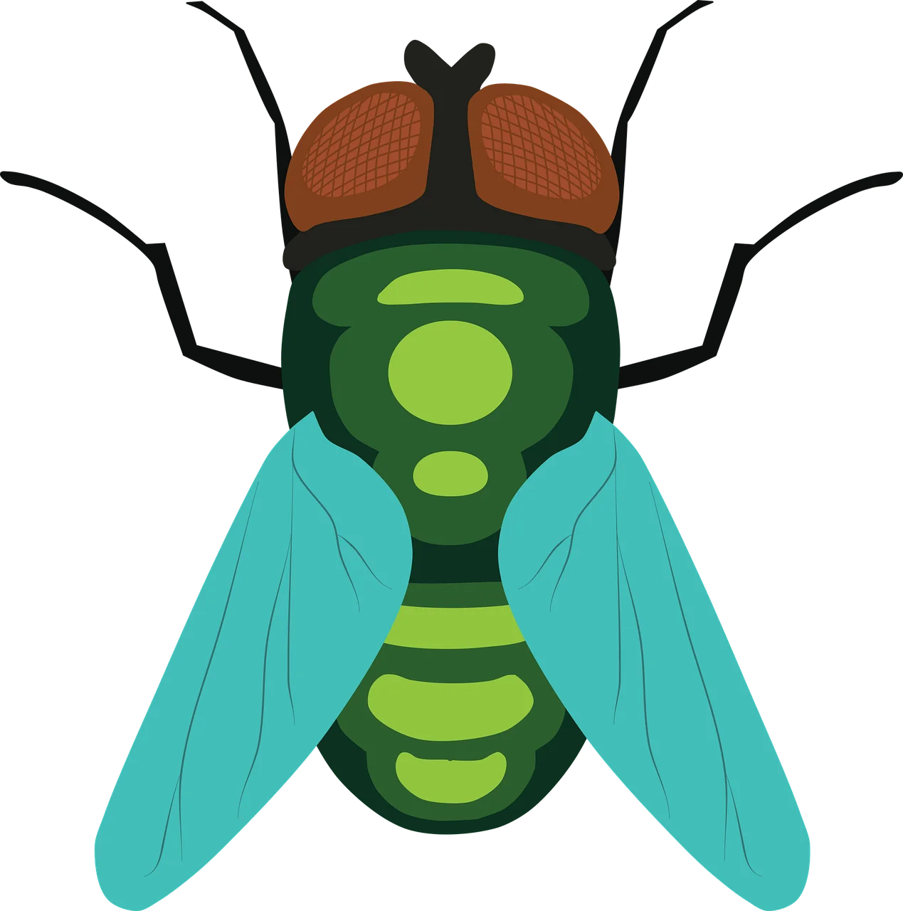 Stylized Green and Turquoise Fly Clipart with Geometric Design Elements