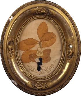 Antique Botanical Clipart: Delicate Pressed Leaf Specimen in Ornate Golden Frame