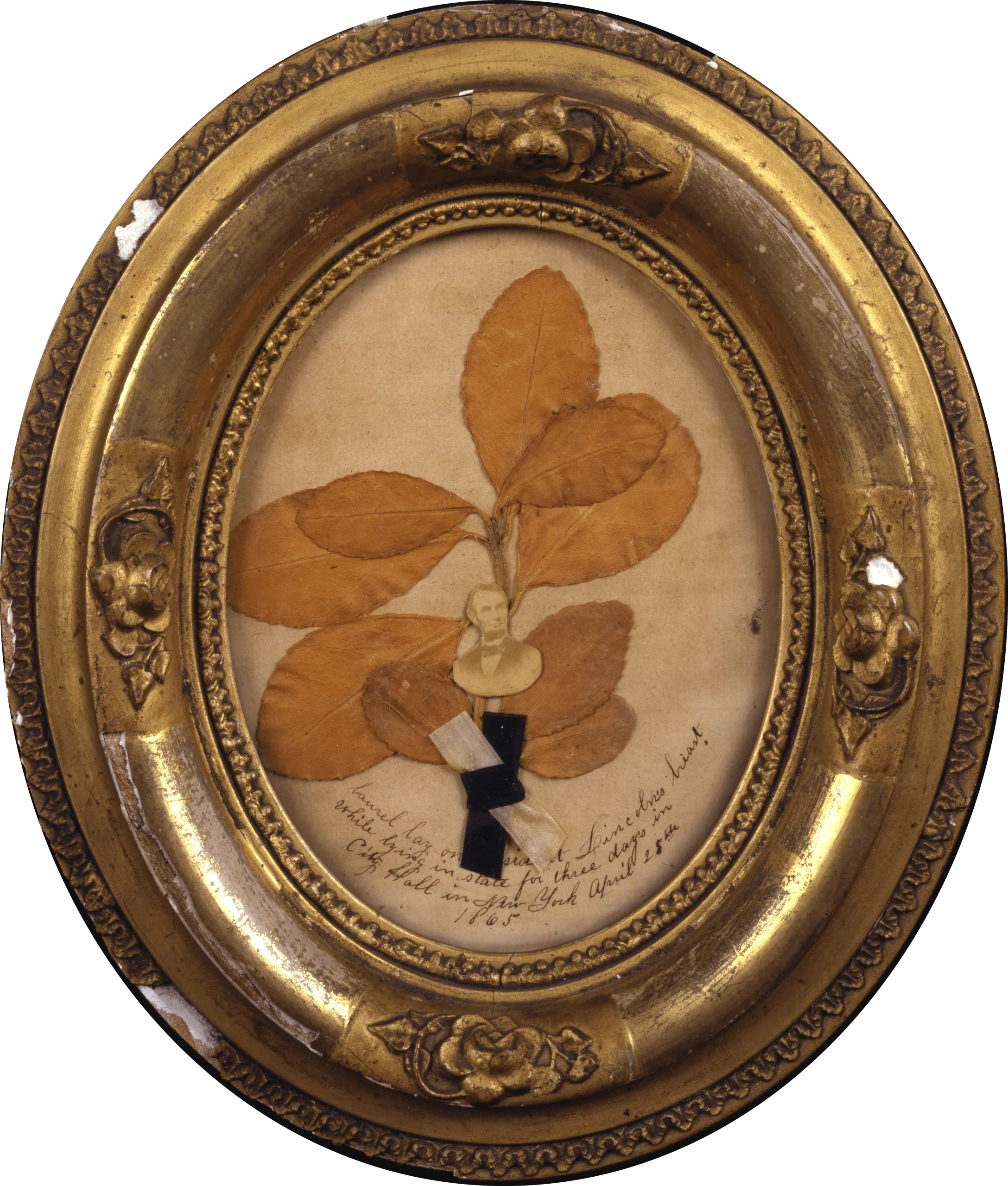 Antique Botanical Clipart: Delicate Pressed Leaf Specimen in Ornate Golden Frame