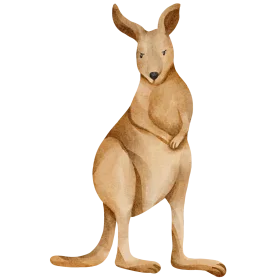 Charming Watercolor Soft-Toned Kangaroo Clipart Illustration with Gentle Texture