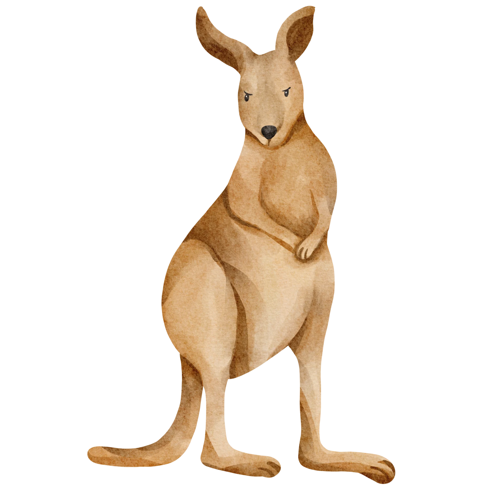 Charming Watercolor Soft-Toned Kangaroo Clipart Illustration with Gentle Texture