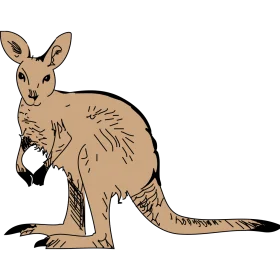Detailed Hand-Drawn Realistic Kangaroo Clipart Illustration in Soft Earth Tones
