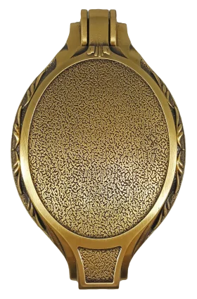 Elegant Antique Bronze Oval Medallion Clipart with Ornate Textured Surface
