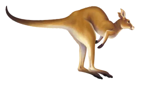 Realistic Golden-Hued Kangaroo Clipart Illustration with Sleek Silhouette