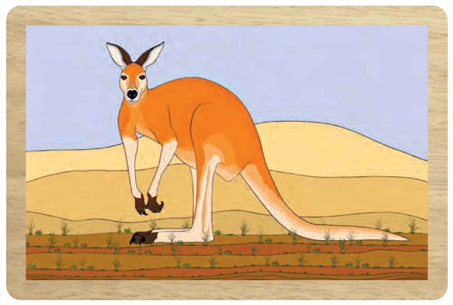 Red Kangaroo on Sandy Terrain Vintage-Style Wooden Frame Clipart Illustration