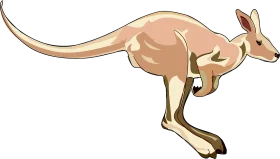 Stylized Tan and Brown Jumping Kangaroo Clipart Illustration for Design Projects