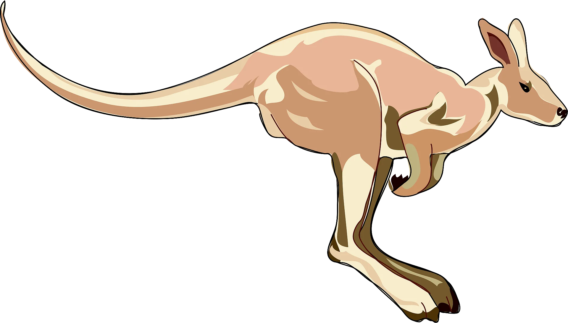 Stylized Tan and Brown Jumping Kangaroo Clipart Illustration for Design Projects