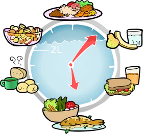 Nutritional Meal Cycle Clipart: A Comprehensive Guide to Balanced Daily Eating