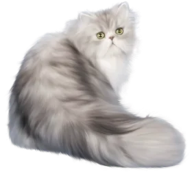 Soft and Fluffy Silver Persian Cat Clipart with Mesmerizing Green Eyes