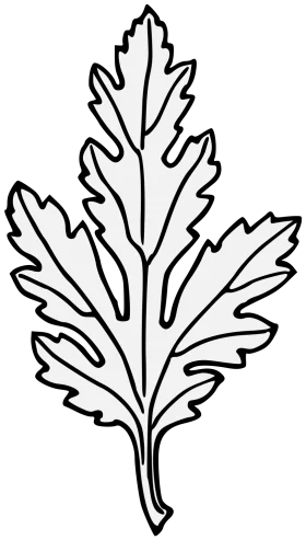 Elegant Black and White Leaf Clipart with Intricate Serrated Edges and Delicate Veins