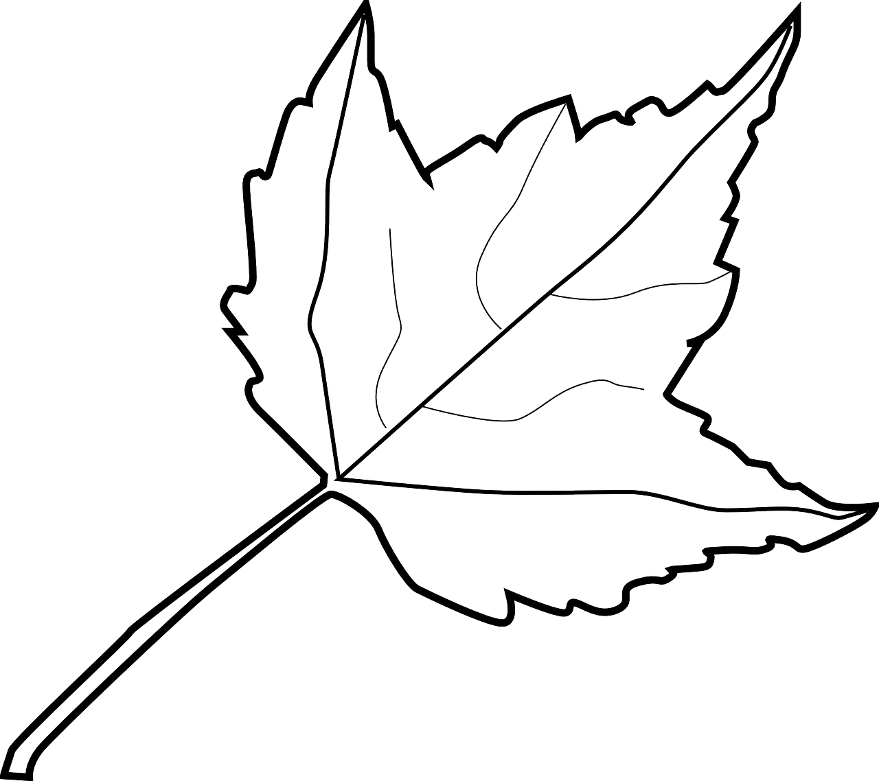 Elegant Botanical Outline: Distinctive Maple Leaf Clipart Design for Nature Enthusiasts