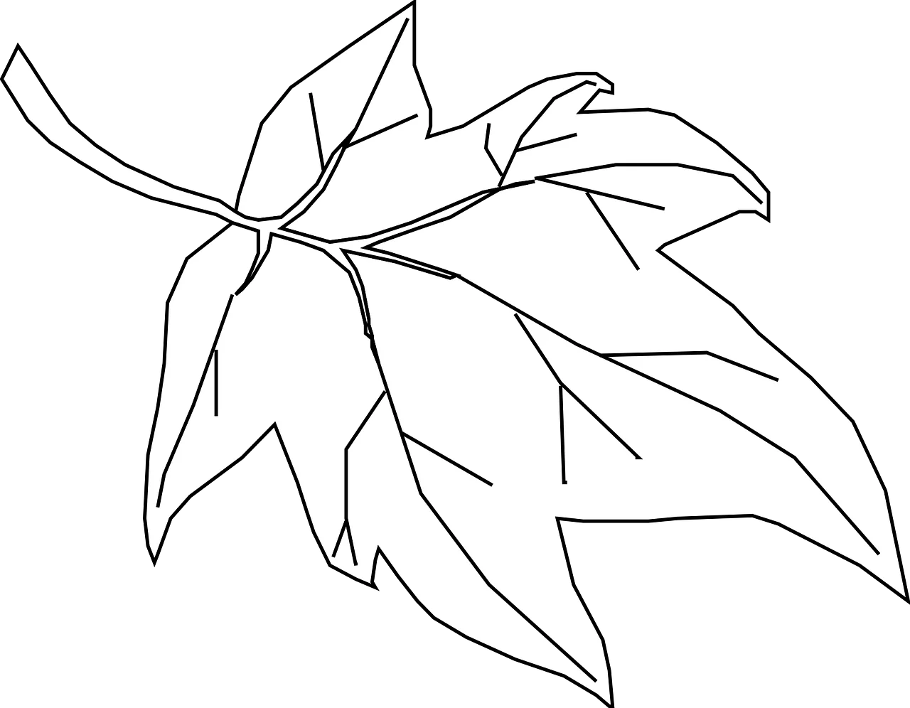 Graceful Autumn Maple Leaf Outline Clipart - Elegant Botanical Line Drawing