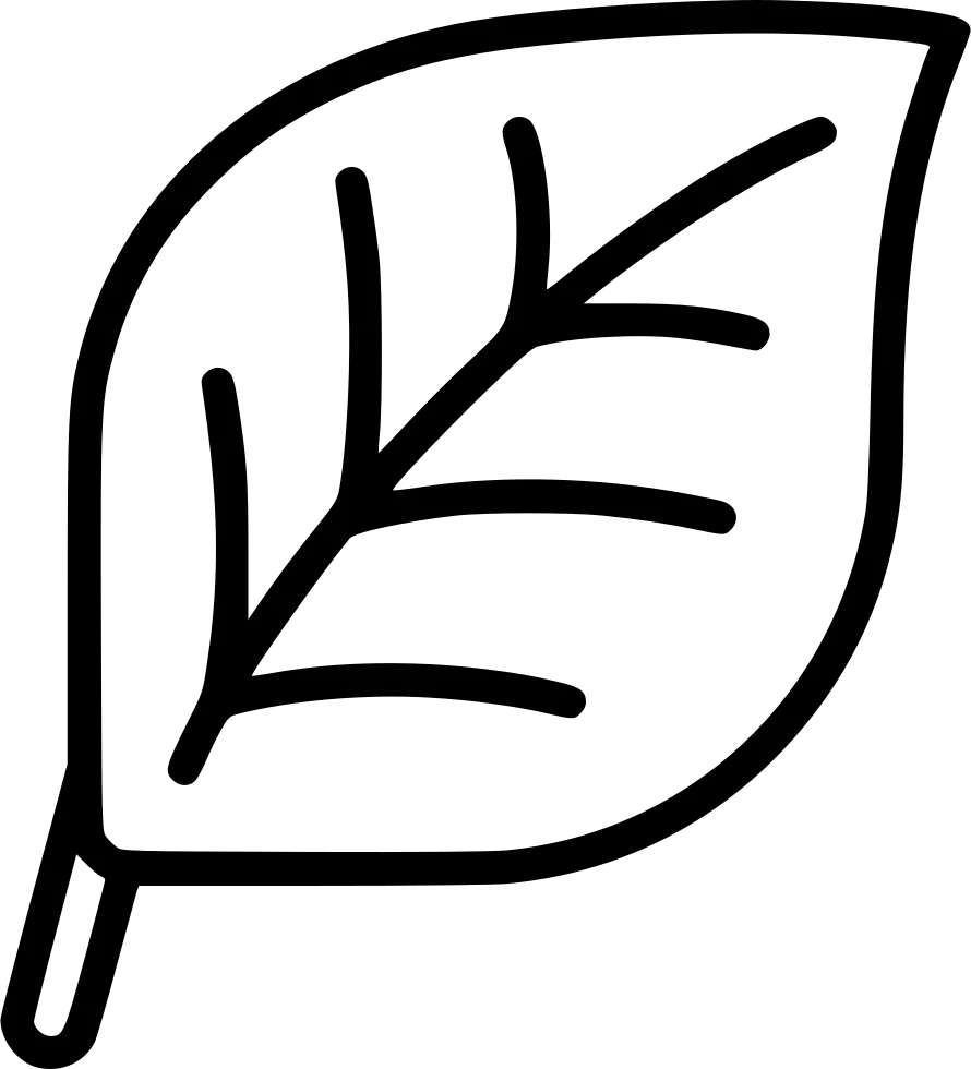 Minimalist Black and White Leaf Clipart with Simple Linear Design