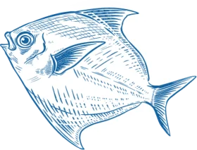 Elegant Blue and White Nautical Fish Clipart Illustration for Seafood Design