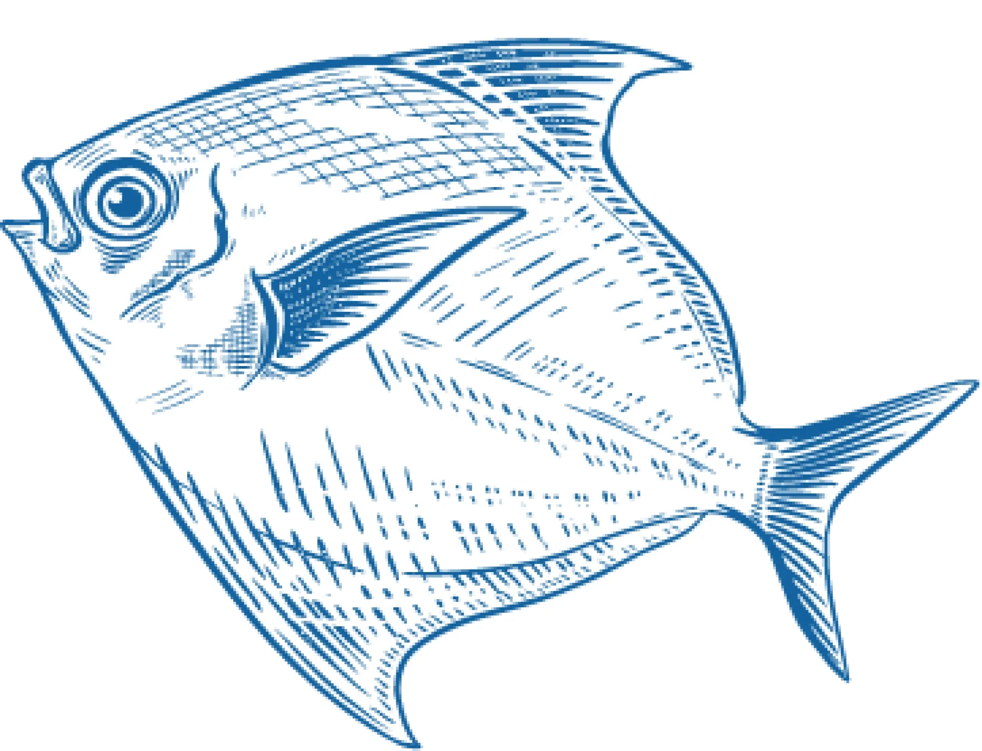 Elegant Blue and White Nautical Fish Clipart Illustration for Seafood Design