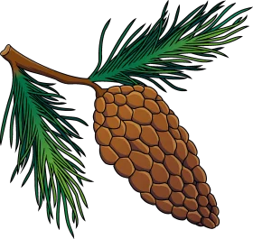 Detailed Botanical Pine Cone and Needles Clipart Illustration with Natural Texture