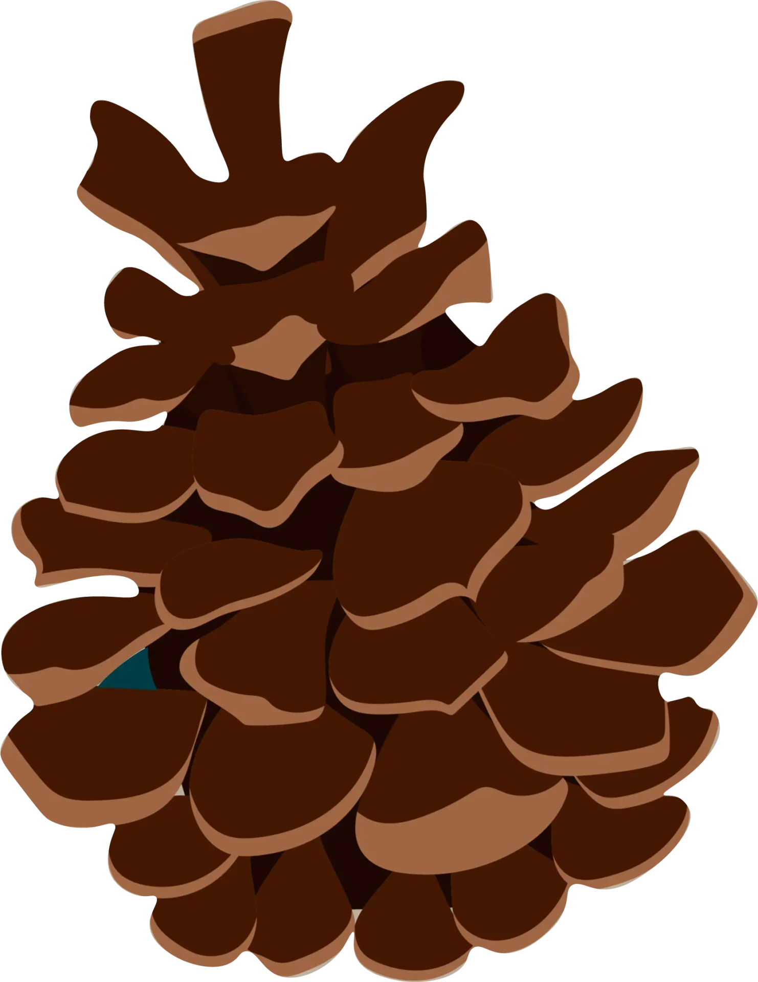 Detailed Brown Pine Cone Clipart with Layered Textural Woody Design