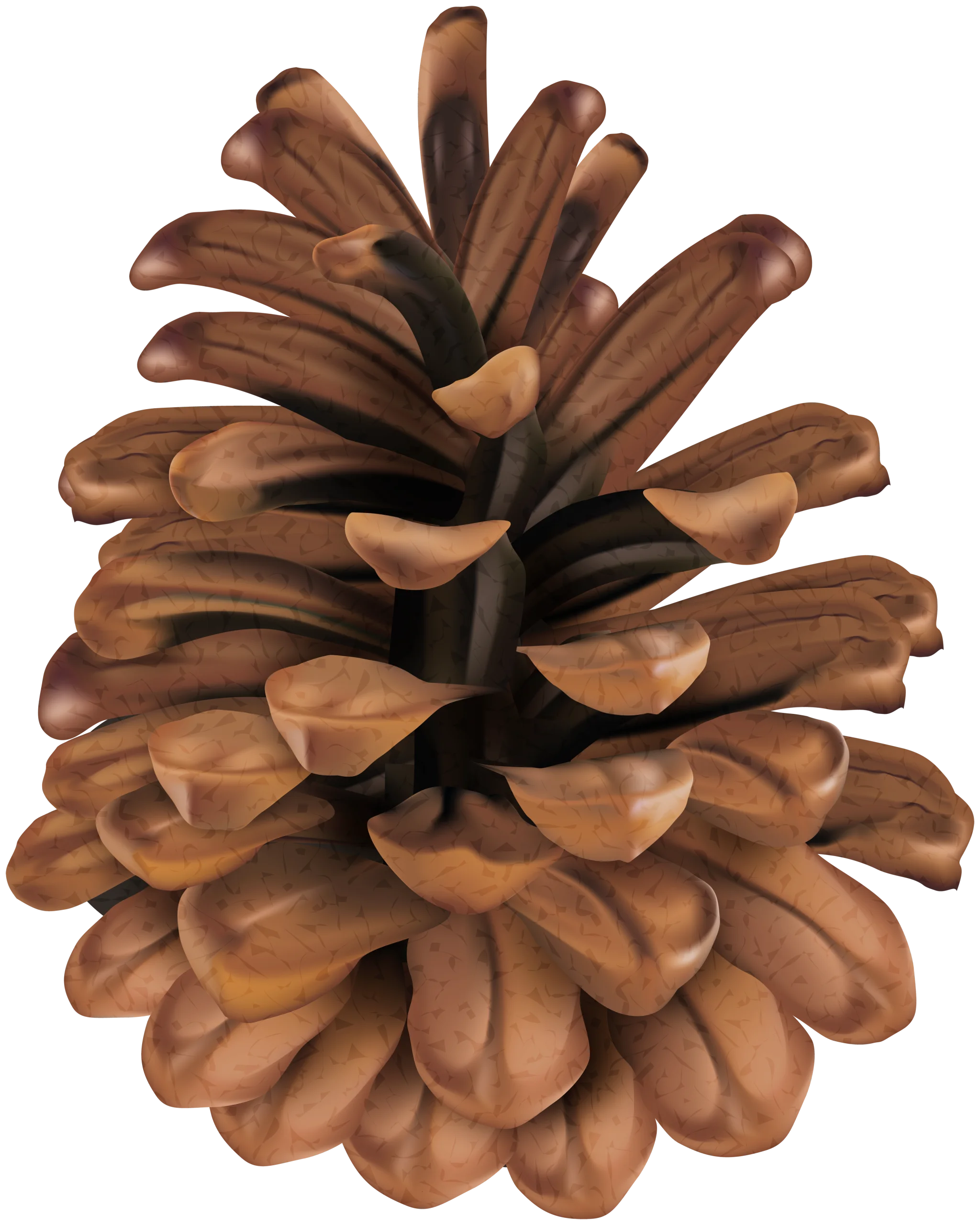 Detailed Natural Pine Cone Clipart with Intricate Wooden Texture and Organic Shape