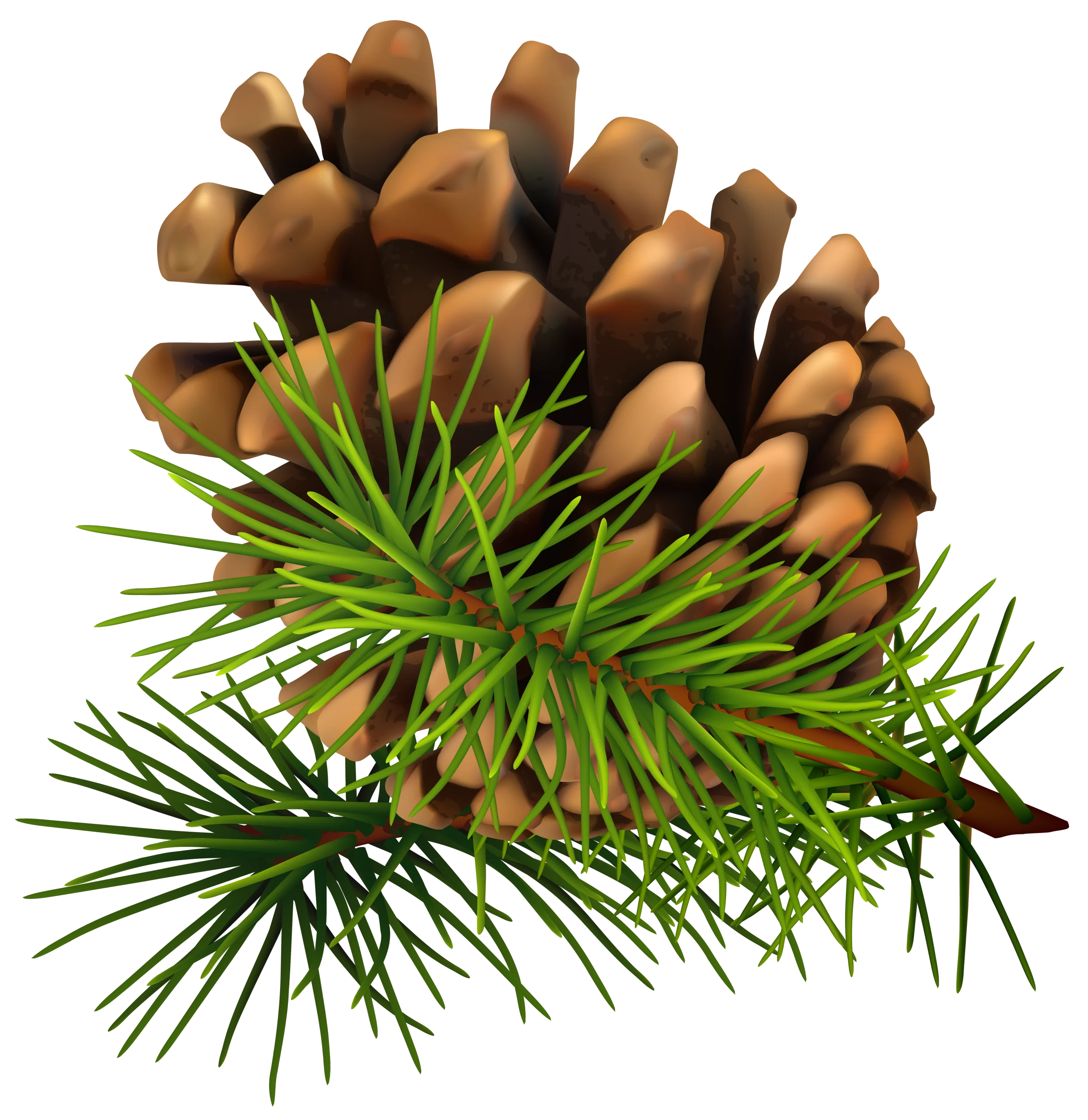 Detailed Pine Cone and Evergreen Needles Nature-Inspired Botanical Clipart Illustration