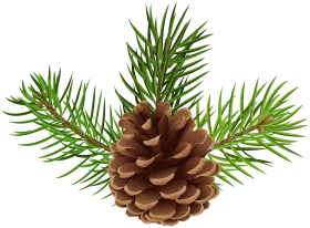 Detailed Pine Cone Clipart with Lush Green Needles and Textured Brown Cone