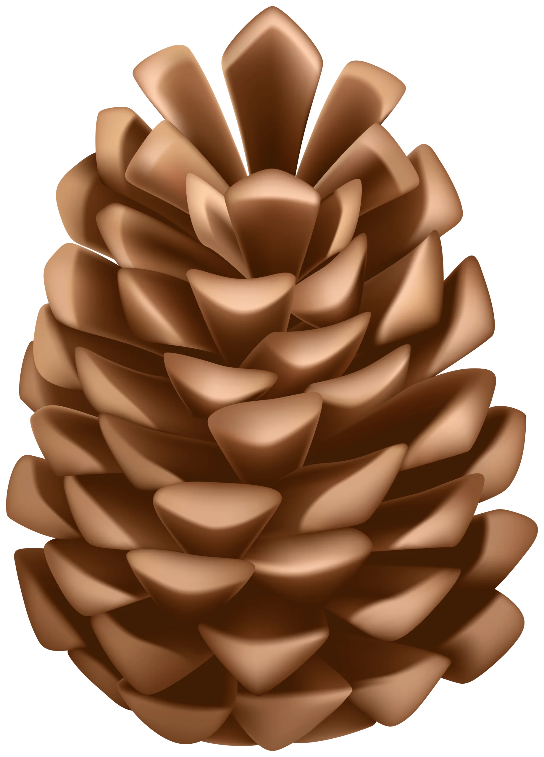 Elegant Bronze Pine Cone Clipart: Natural Woodland Symmetry in Warm Metallic Tones