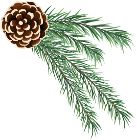 Elegant Pine Cone and Evergreen Branches Woodland Nature Clipart Design