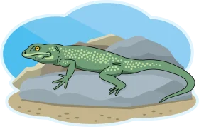 Green Spotted Lizard Resting on Rocky Terrain - Nature-Inspired Clipart Illustration