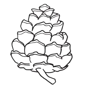 Intricate Hand-Drawn Pine Cone Clipart with Detailed Geometric Layers and Organic Texture
