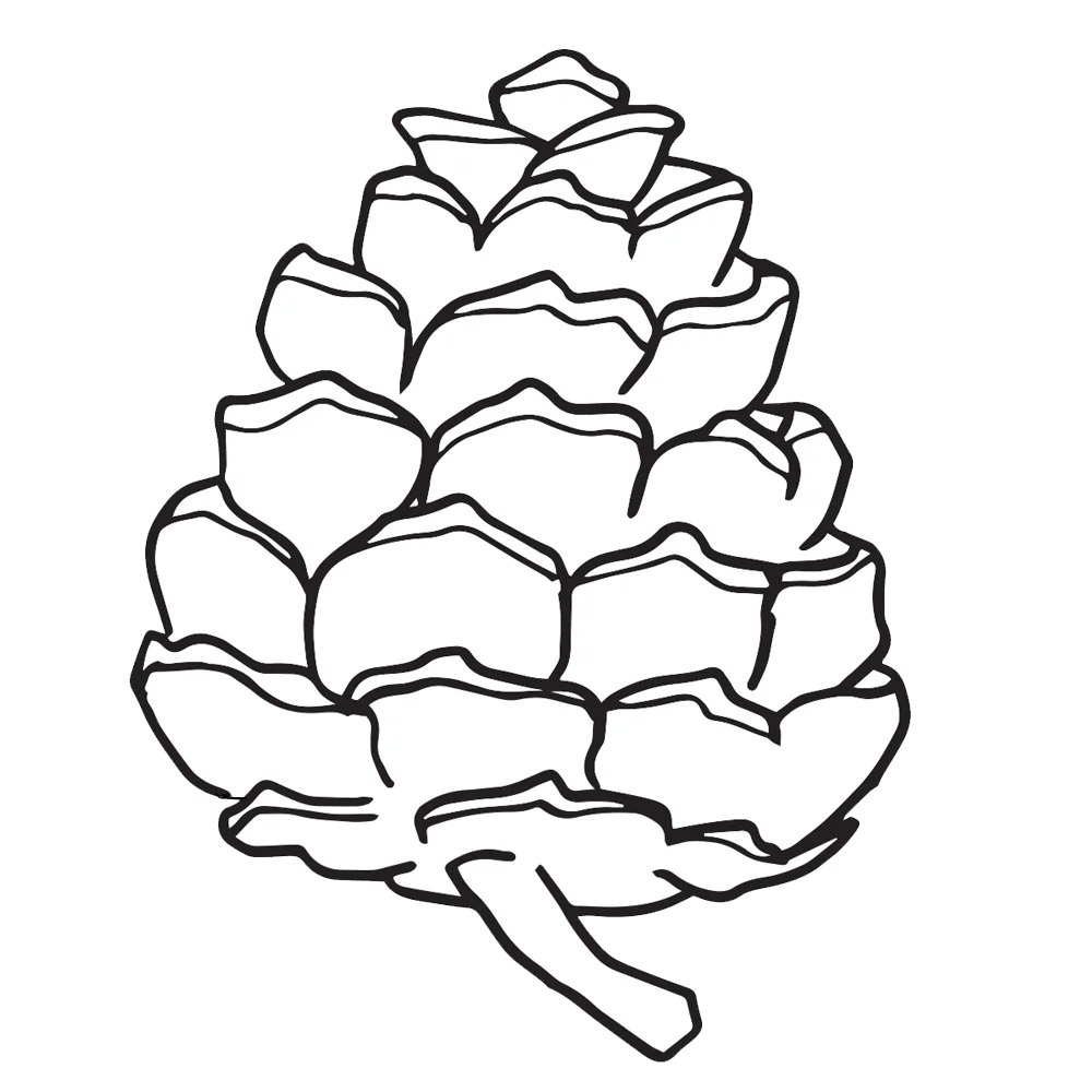Intricate Hand-Drawn Pine Cone Clipart with Detailed Geometric Layers and Organic Texture