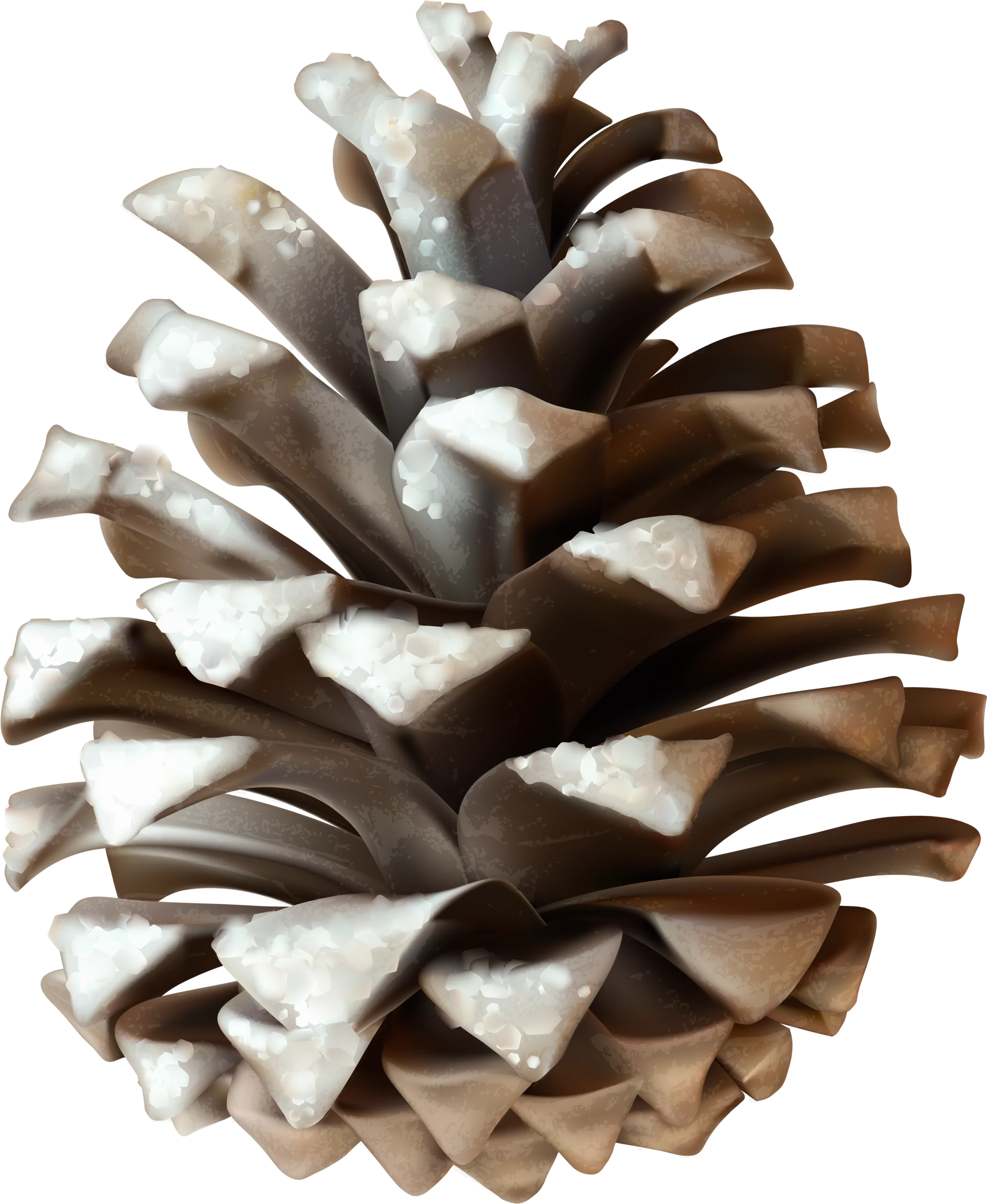 Monochromatic Pine Cone Clipart with Textured Scales and Natural Woodland Design