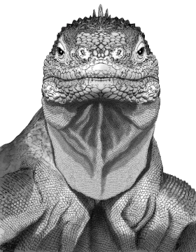 Prehistoric Encounter: A Monochrome Lizard Clipart Portrait of Ancient Majesty