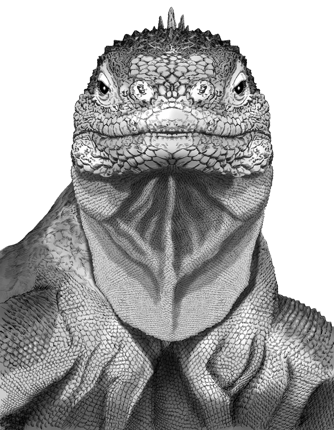 Prehistoric Encounter: A Monochrome Lizard Clipart Portrait of Ancient Majesty