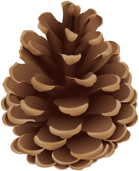 Realistic Brown Pine Cone Clipart with Detailed Layered Texture and Woody Essence