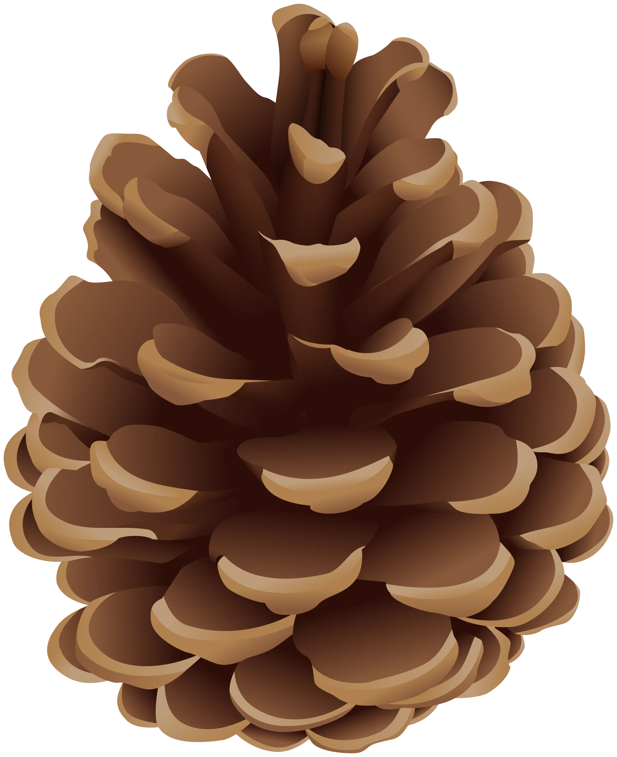 Realistic Brown Pine Cone Clipart with Detailed Layered Texture and Woody Essence
