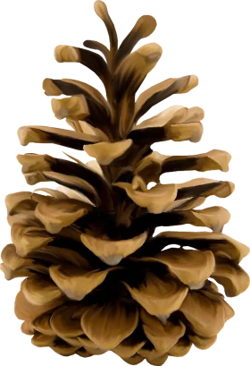 Realistic Brown Pine Cone Clipart with Intricate Layered Texture and Natural Details