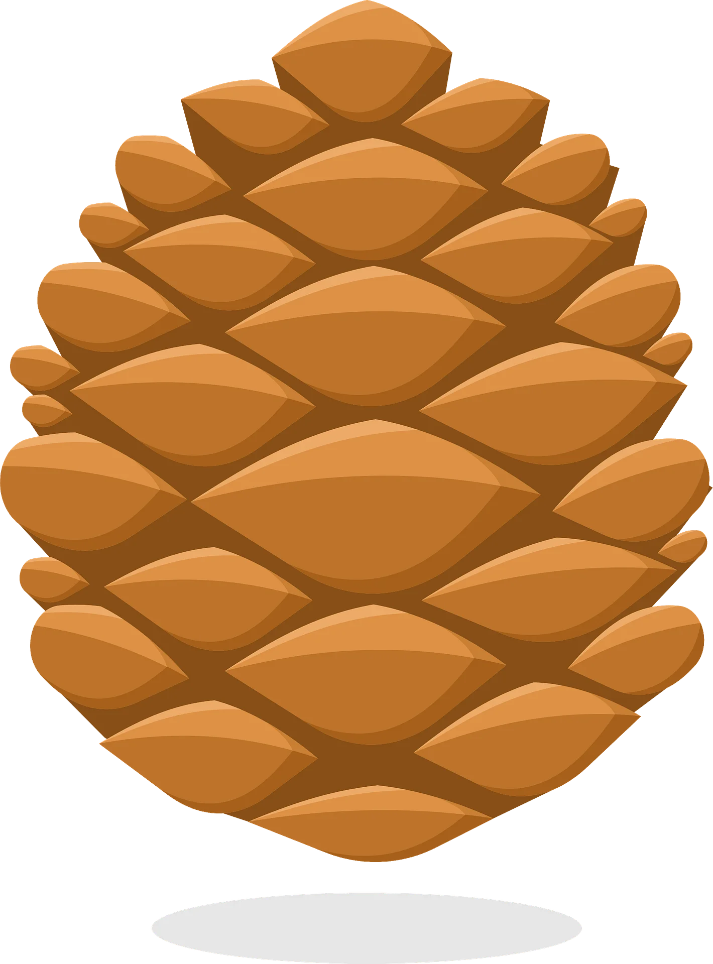 Realistic Pine Cone Clipart with Soft Amber Wooden Texture and Layered Design